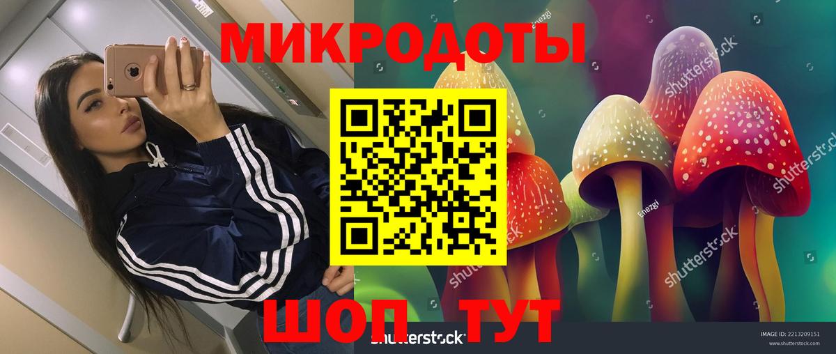Галлюциногенные грибы MAGIC MUSHROOMS Дальнереченск